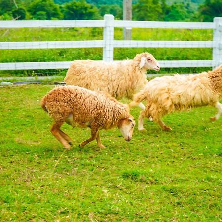 The La Valle'E Resort カオラック エクステリア 写真